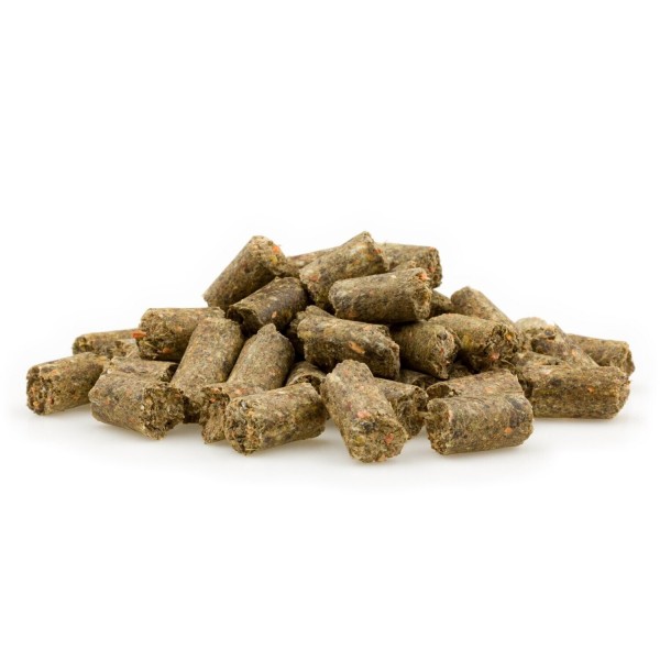 Apfel-Karotte-Leckerli