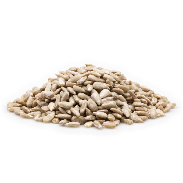 Geschälte Sonnenblumenkerne Vogelfutter