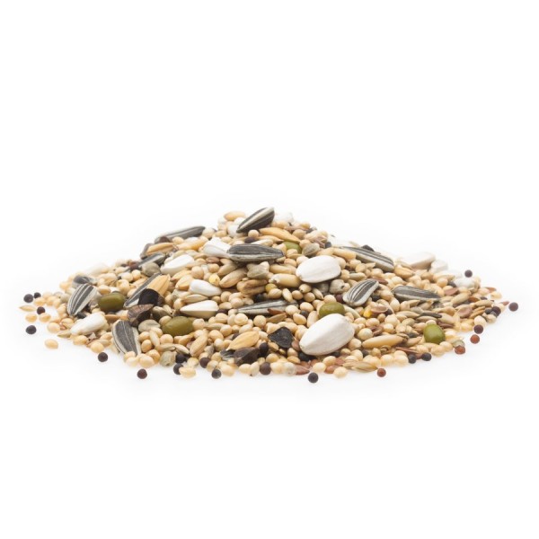 Großsittich Premium