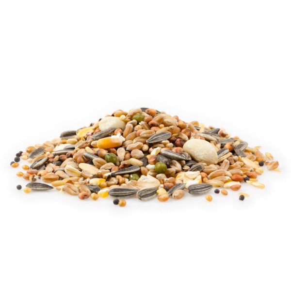 Wildvogel Jahres-Mix