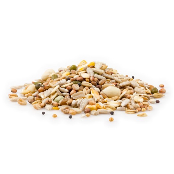 Wildvogel Terassen-Mix