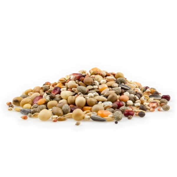 Zucht + Mauser Premium