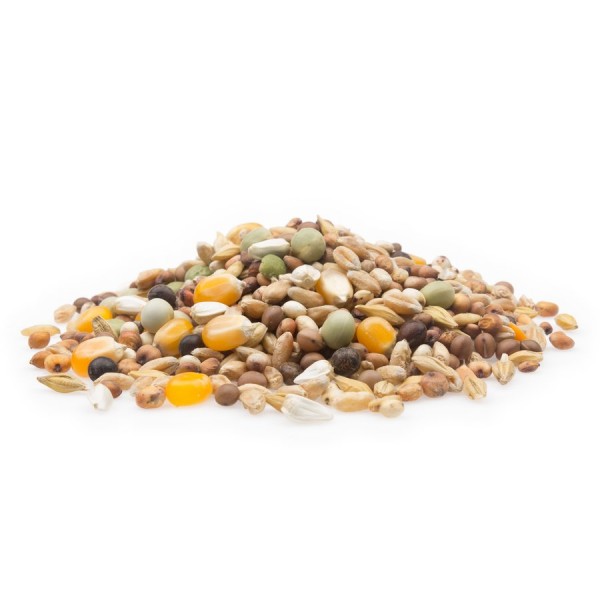 Leichte Rasse Premium