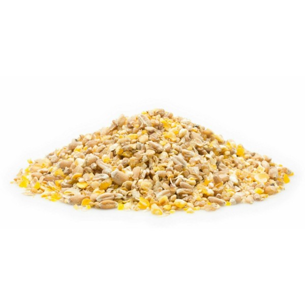 Kükenstarter Premium