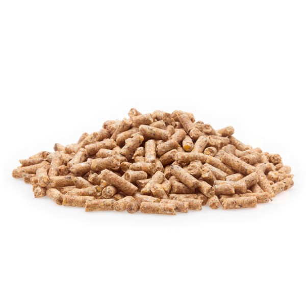 Zucht Premium Pellet