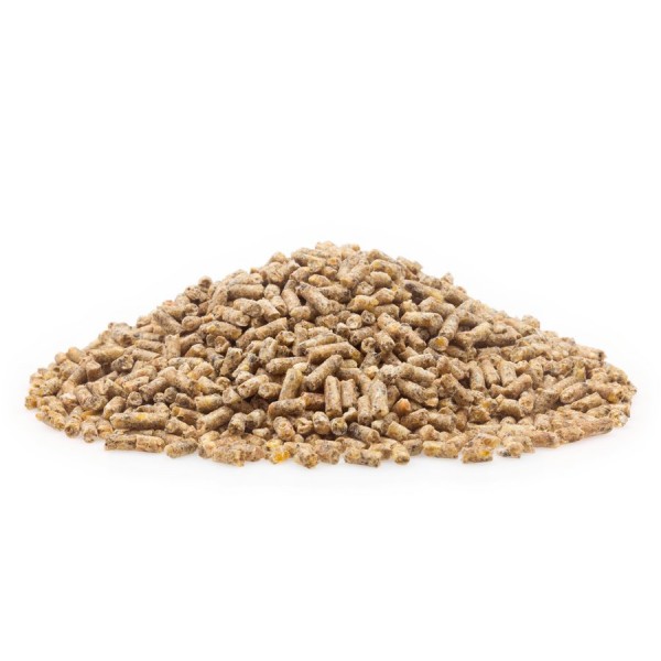 Wassergeflügel Aufzucht WA