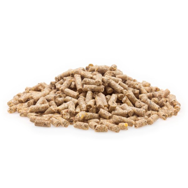 Wassergeflügel Zucht WZ