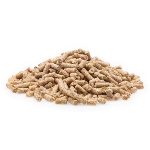 Puten Aufzucht + Mast PAM