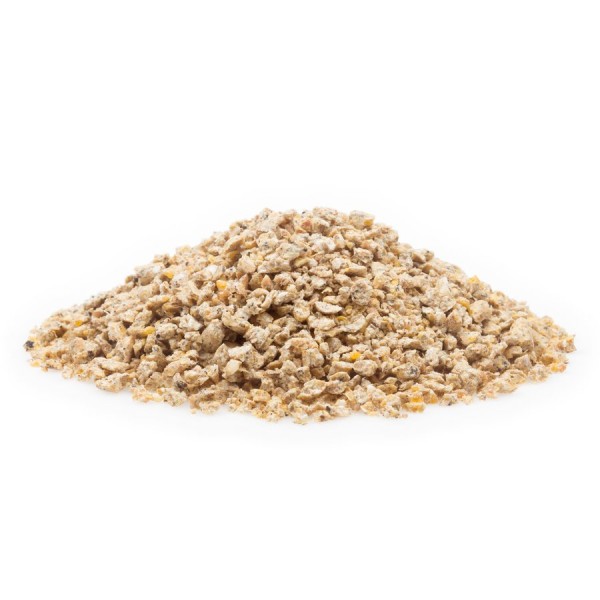 Küken- und Junghennen-Aufzucht 