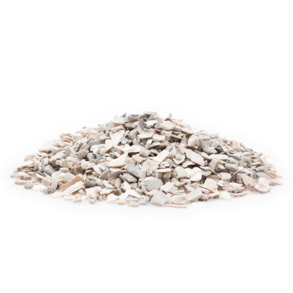 Austernschalen Premium