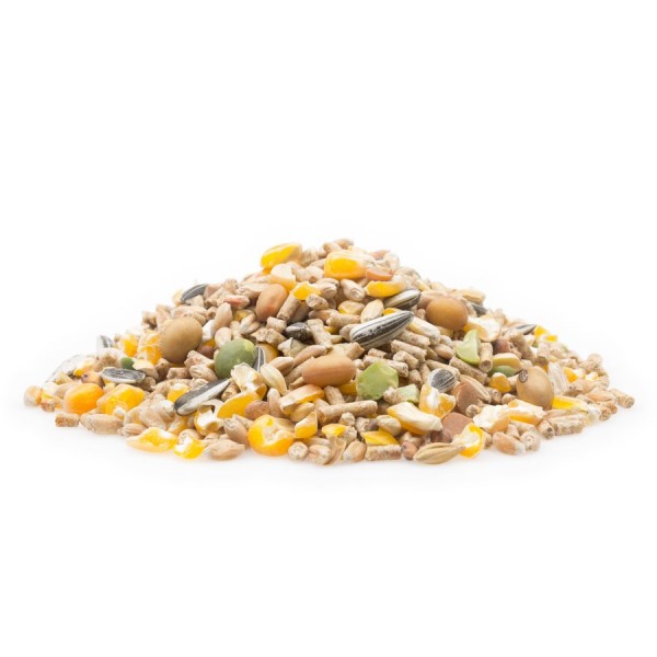 Wellness Legemischung