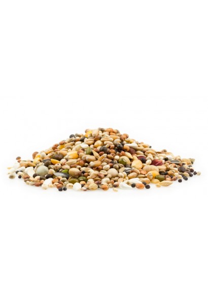 Zucht Mauser Klassik