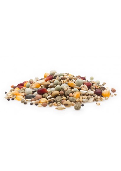 Zucht Mauser Sonderklasse