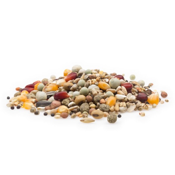 Zucht Mauser Sonderklasse